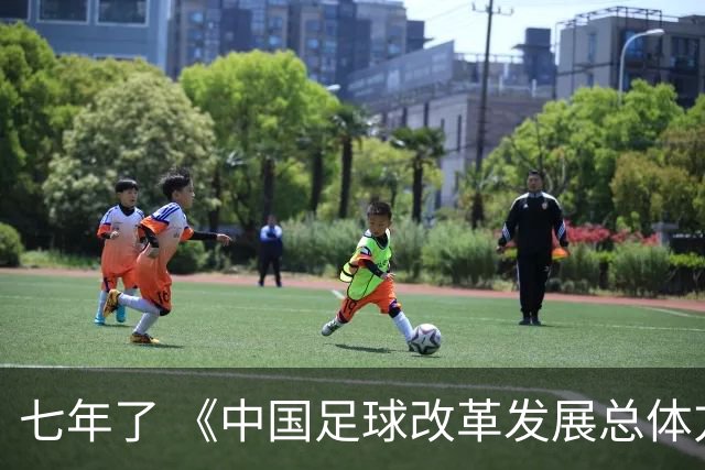 七年了 《中国足球改革发展总体方案》坚定落实了吗