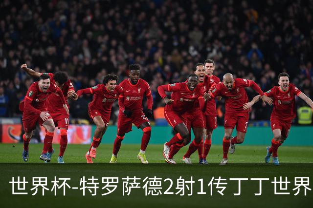 世界杯-特罗萨德2射1传丁丁世界波 比利时5-1新西兰获头名
